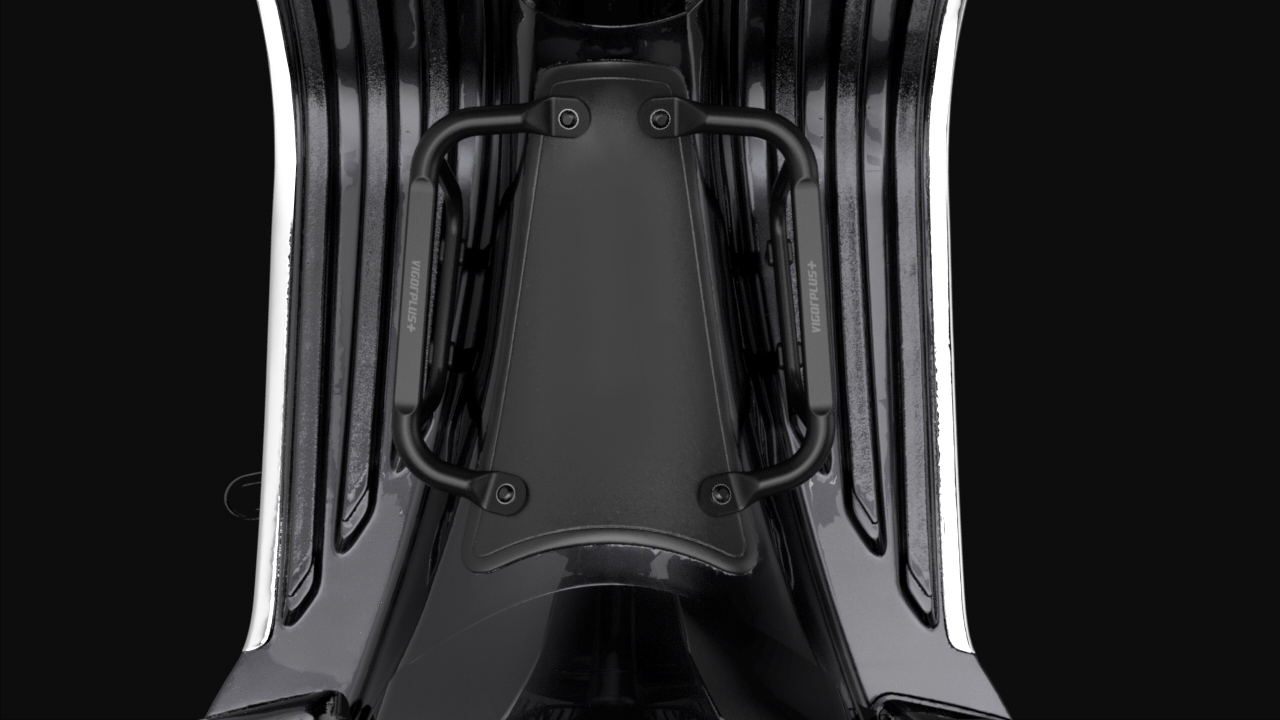 Beetle — 2